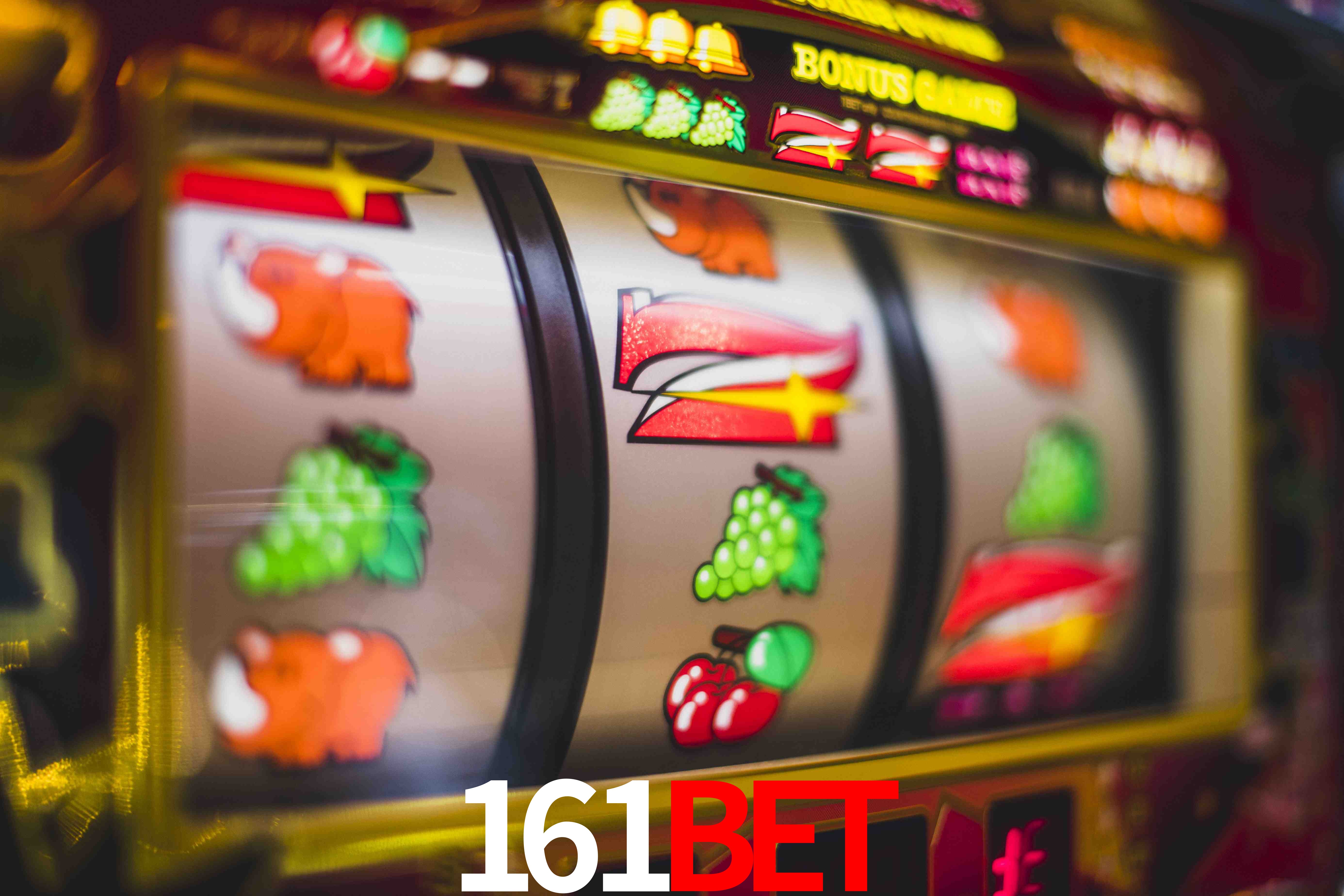 Sports Statistics 161bet